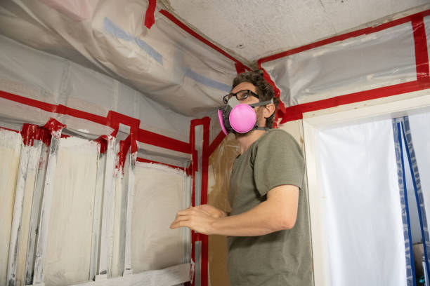 Best Crawl Space Mold Remediation  in Hazlehurst, MS