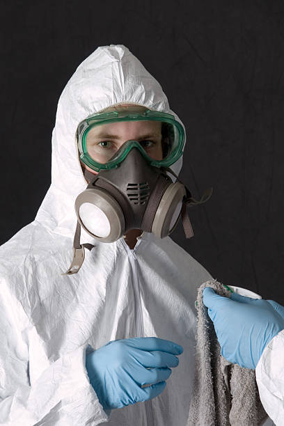 Best Emergency Mold Remediation  in Hazlehurst, MS